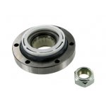 Wheel Bearing Kit77 01 462 020,77 01 463 231,SKF: VKBA 966