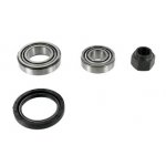 Wheel Bearing Kit273747,SKF: VKBA 502