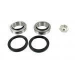 Wheel Bearing Kit77 01 468 409,SKF: VKBA 829